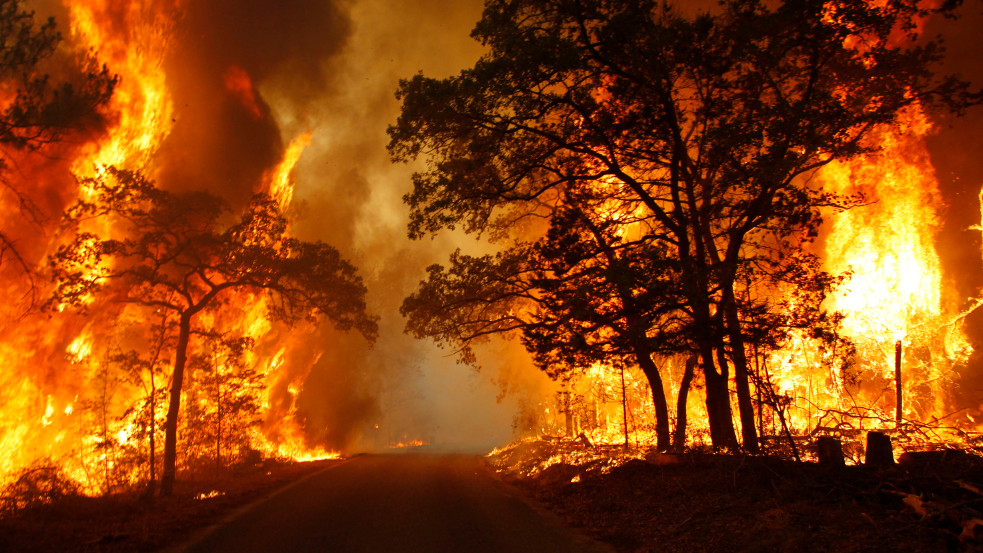 Példátlan tűzvész pusztít Texasban: hatodik napja próbálják megfékezni a lángokat - videó